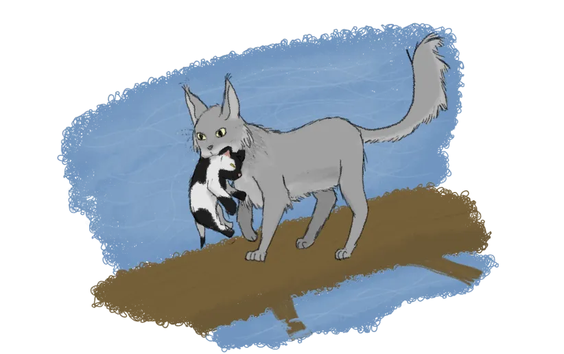 silver-gray cat carrying black and white kitten over fallen tree